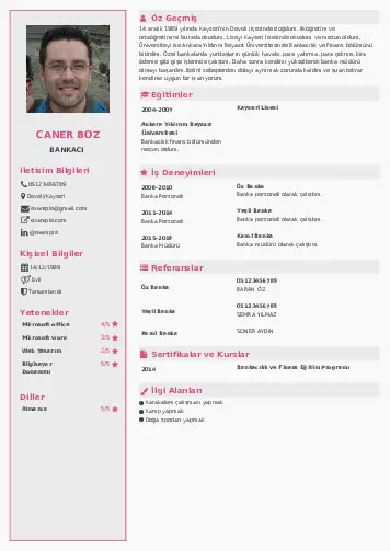 Bankacı CV Örnekleri cv indir